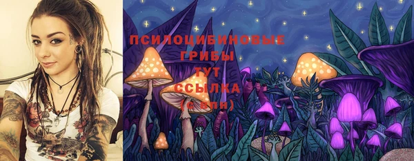 mdma Заводоуковск